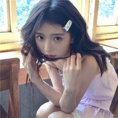 爱犬情深